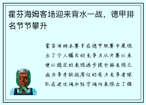霍芬海姆客场迎来背水一战，德甲排名节节攀升